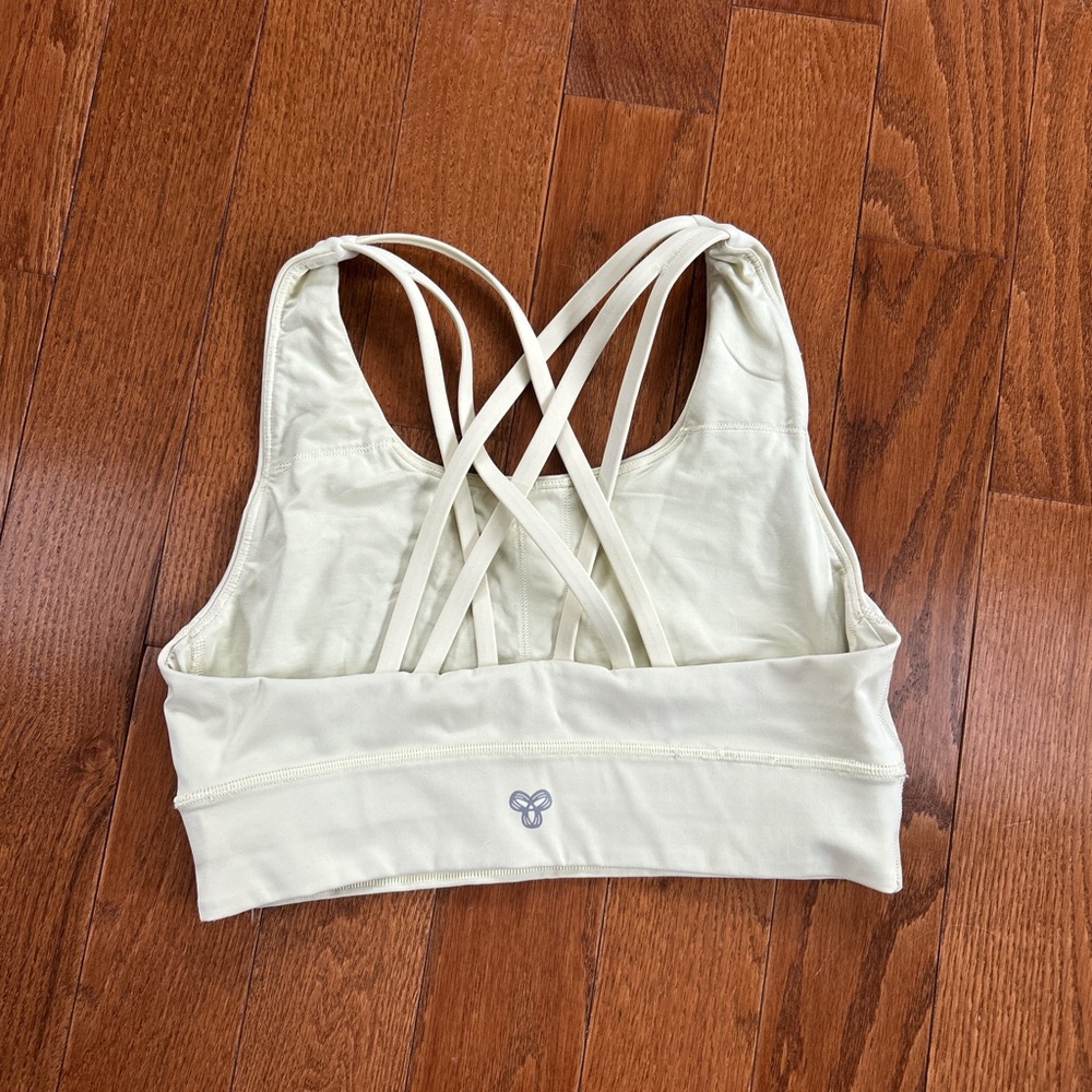 Aritzia tna Sports Bra